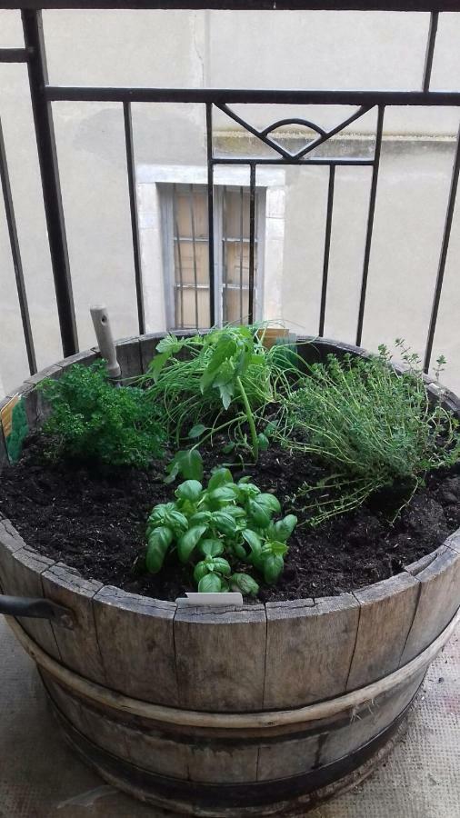 Gite Au Coeur De Volnay ボーヌ エクステリア 写真